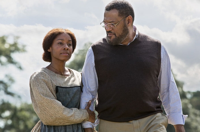 Imagem da série Raízes