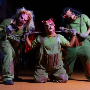 Hopi Hari promove Horror Drive Tour até novembro