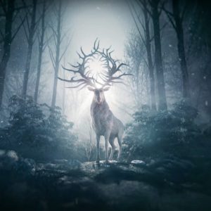 Sombra e Ossos: confira teaser e data de estreia