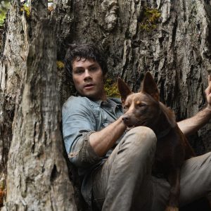 Amor e Monstros: Filme indicado ao Oscar com Dylan O’Brien chega à Netflix em abril