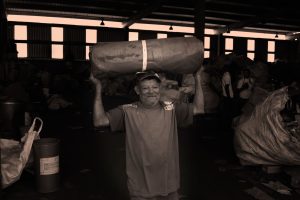 Itumbiara recebe exposição fotográfica criada por jovens estudantes do projeto Retratos da Terra