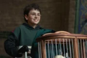 Harry Potter: chefe da HBO confirma decisão que deve frustrar o público da série