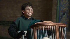 Harry Potter: chefe da HBO confirma decisão que deve frustrar o público da série