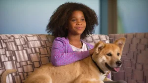 Sessão da Tarde hoje: confira o filme que a Globo exibe nesta quinta-feira (05/03)