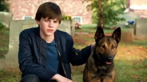 Sessão da Tarde hoje: confira o filme que a Globo exibe nesta sexta-feira (27/03)