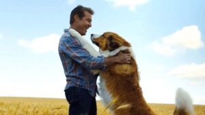 Sessão da Tarde hoje: confira o filme que a Globo exibe nesta terça (07/04)