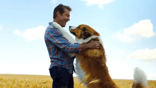 Sessão da Tarde hoje: confira o filme que a Globo exibe nesta terça (07/04)