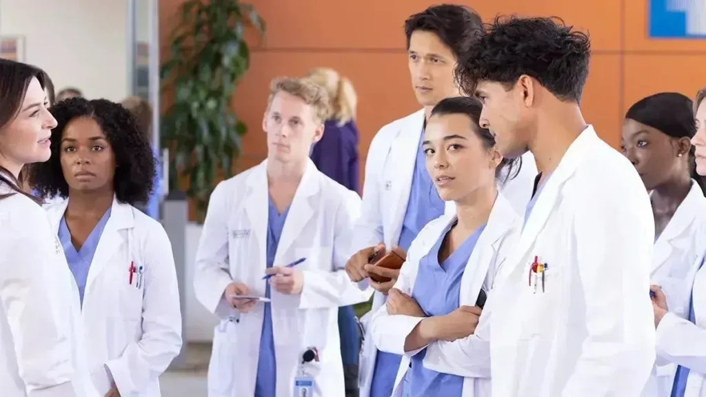 Imagem da série Grey's Anatomy