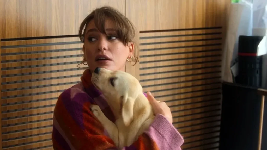 Imagem da série Próximo!, da Netflix