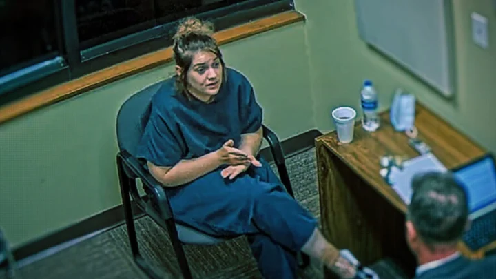 Instinto Materno: entenda o crime real por trás do documentário chocante da Netflix