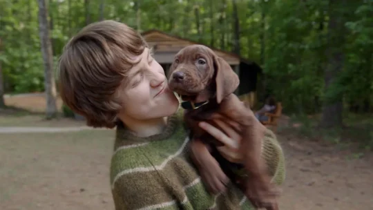 Scooby-Doo: A Origem revela Scooby como cachorro real em teaser da Netflix; veja