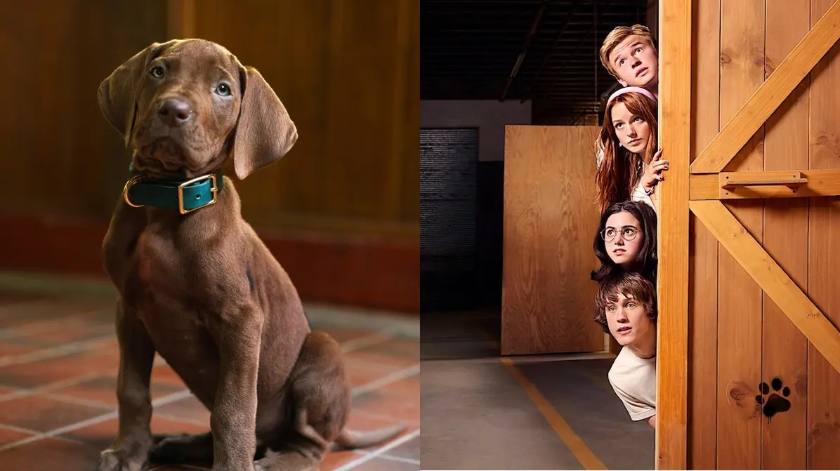 Montagem com imagem de Scooby como cachorro real ao lado de elenco da série Scooby-Doo: A Origem