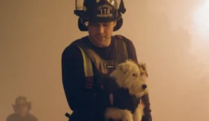 9-1-1: trailer da 10ª temporada mostra Los Angeles tomada pelo caos