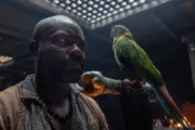 A Ilha do Tesouro: veja que horas estreia o 1º episódio da série no MGM+